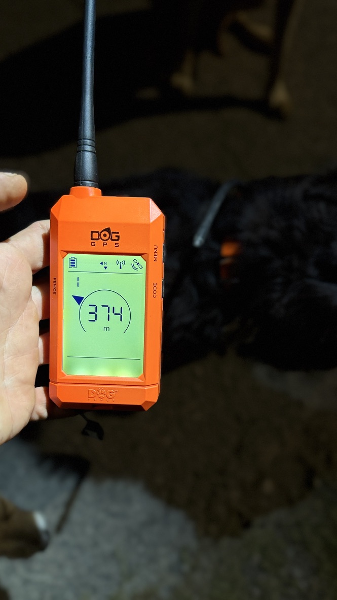 Displej jednotky DOG GPS ukazuje 374 metrů, pes přitom leží hned za jednotkou