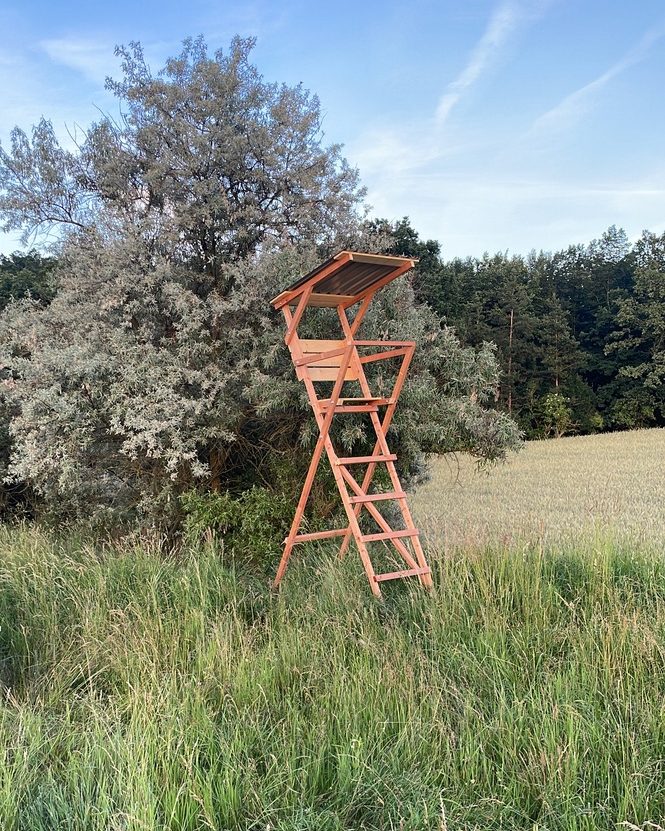Dřevěný posed s žebříkem stojící ve vysoké trávě na okraji pole