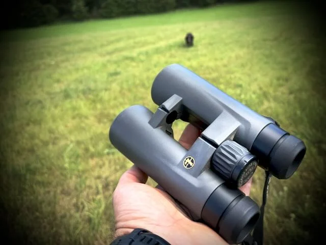 leupold-bx4-1